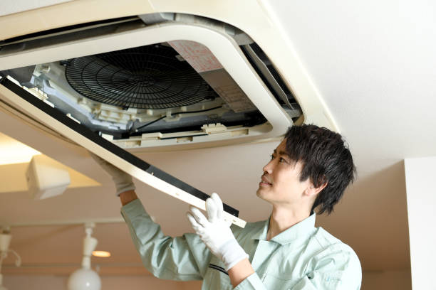 Best Air Duct Mold Removal  in Huntgton, IN
